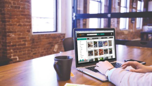 Pixelboxx DAM 3.0 Microsite